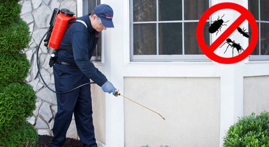 Toroslar Uçan Haşere İlaçlama böcek ilaçlama ve haşere kontrolü — ilaclama-tr.com